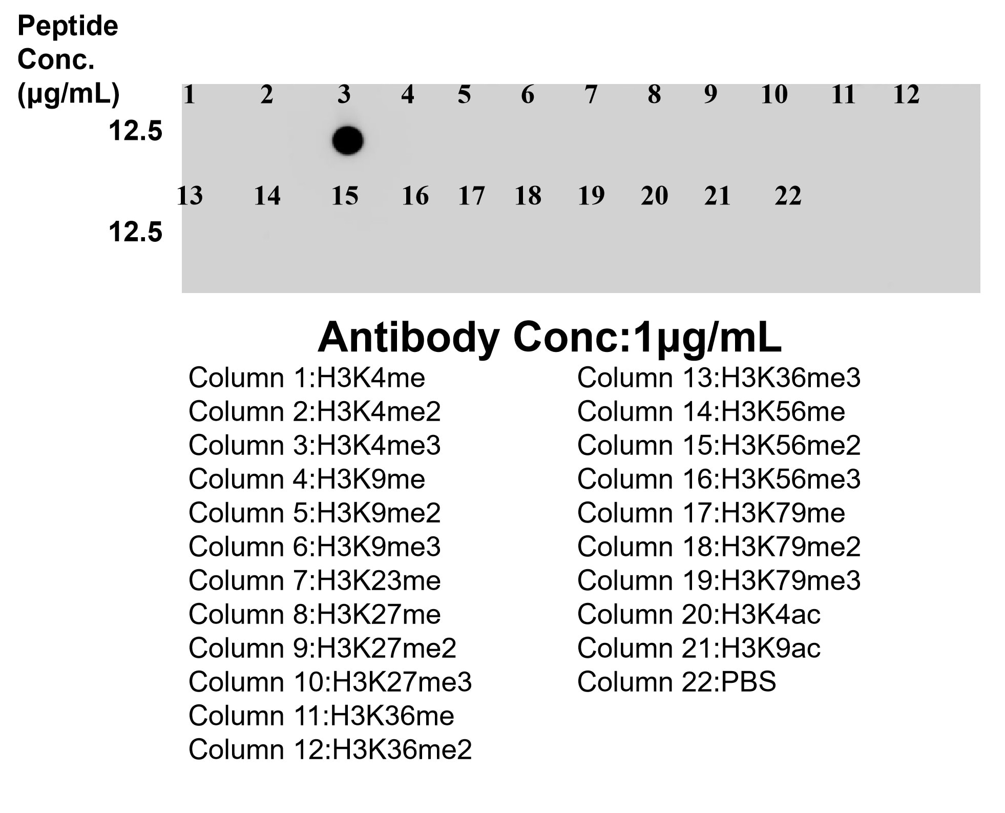 Dot Blot experiment of / using 84908-3-RR Dot Blot experiment of / using Tri-Methyl-Histone H3 (Lys4) Recombinant monoclona (84908-3-RR)